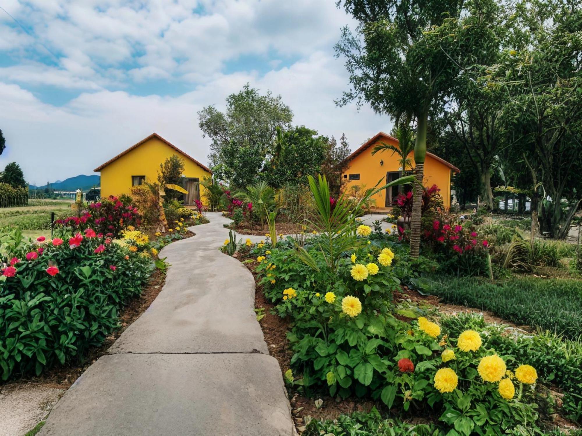 Ninh Binh Peaceful Retreat Villa Екстериор снимка